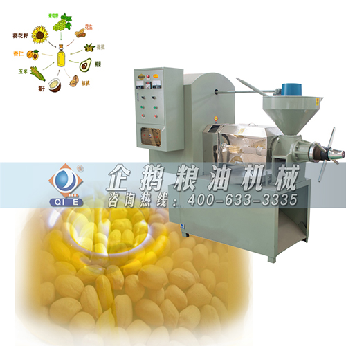 玉米胚芽榨油机